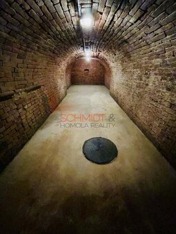 Pronájem komerčních prostor Velké Pavlovice - 10