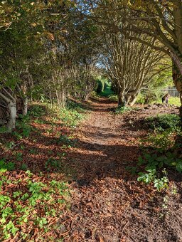 Stavební parcela Jenišovice 1293 m2 - 10