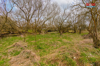 Prodej louky, 2200 m², Strašín - 10