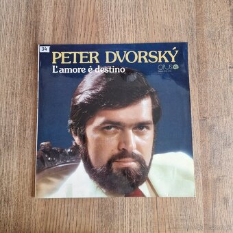 20x LP vinyl, české, různé žánry #2 - 10