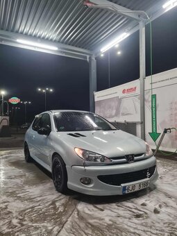 Peugeot 206 gti - 10