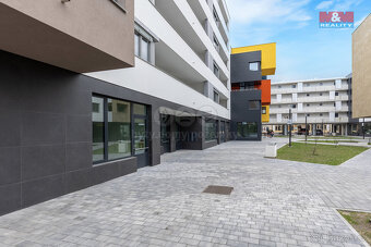 Pronájem obchod a služby, 39 m², Pardubice, ul. Smilova - 10