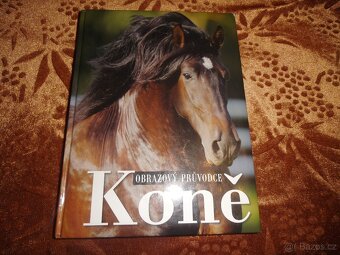 Knihy -kone - 10