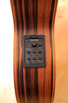 Elektroakusticá kytara Dowina Danubius GACE - 10