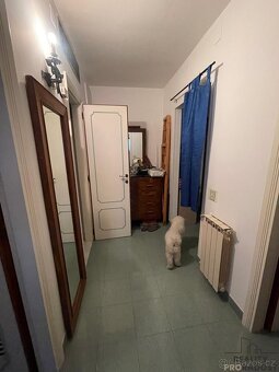 Prodej bytu 3+1 85 m², via Lago di Bracciano, Montesilvano,  - 10