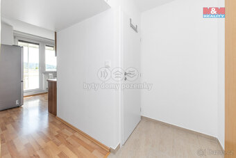 Prodej bytu 1+1, 45 m², Brno, ul. Horácké náměstí - 10