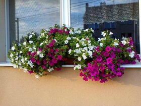 Zábrana truhlíků BV - držák bez vrtání - 10