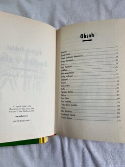 Dvojčata v akci - Vojtěch Steklač - 10