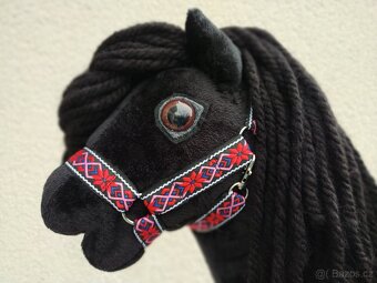 Hobby horse - 10