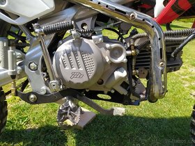 Pitbike WPB RACE 190 BEAST - 10