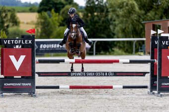 Sepík - stáj, kde se váš talent rozvine naplno - 10