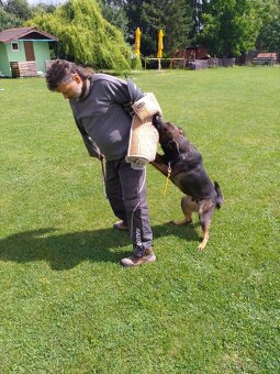 nabídka krytí - 10