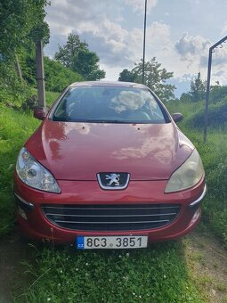Peugeot 407 - 10