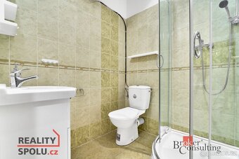 Pronájem, byty/1+1, 43 m2, třída Dukelských hrdinů 334, 3625 - 10