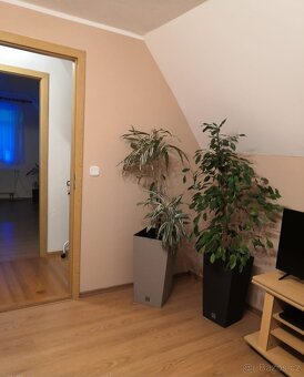 Prodej domu v Německu - 10