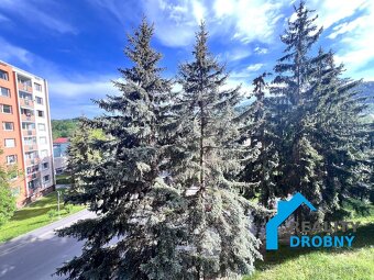 Pronájem, Byty 1+1, 35m2 - Jílové - Kamenná, ev.č. 01226 - 10