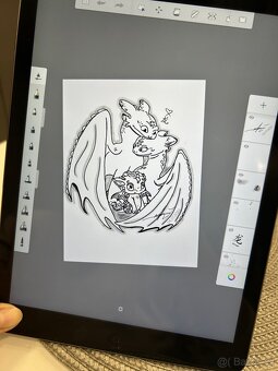 Apple iPad Air (2013) 16GB - 10