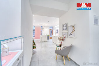 Pronájem obchod a služby, 116 m², Plzeň, ul Bedřicha Smetany - 10