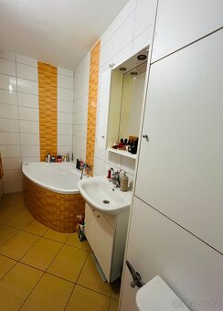 Pronájem byt 2+1 Cihlářská čtvrť - 10