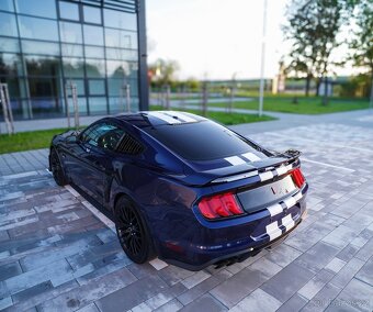 Ford Mustang 5.0 PERFORMANCE - 10