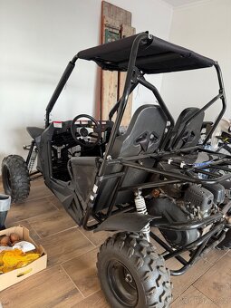 Buggy 208 - 10