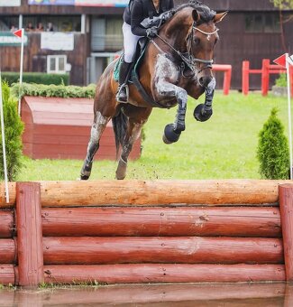 Líbivá klisna - 10