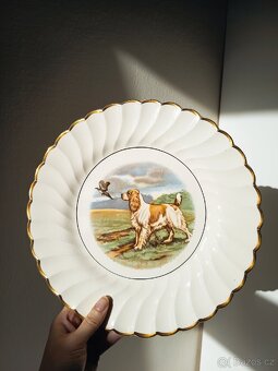 Starožitný anglický lovecký talíř Myott - 10