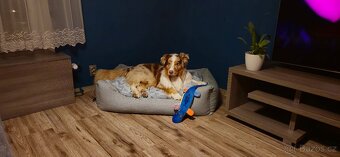 Pelech Kiwi Walker 4Elements Fire Sofa Bed cihlová XL 120cm - 10
