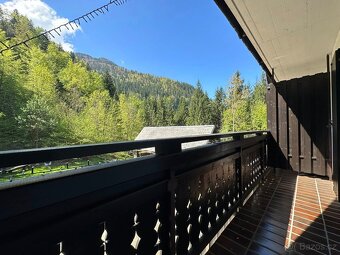 Dovolenka ze psem (alebo bez) v Slovinsku (Bohinj-Bled) - 10