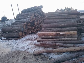 Palivové dřevo Feil - 10