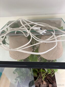 Terarium - 10
