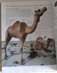 Zvířata Velká obrazová encyklopedie - 10