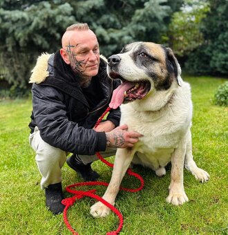 DAG - SAO 74 kg, kastrovaný psík 8 let - 10