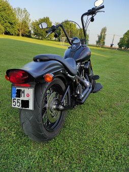 HARLEY DAVIDSON FLSTSB cross bones springer - 10