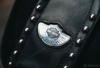 Harley - Davidson, Softail Heritage anniversary 100´ th. - 10