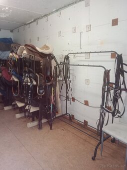 Pastevní ustájení u Pardubic - 10