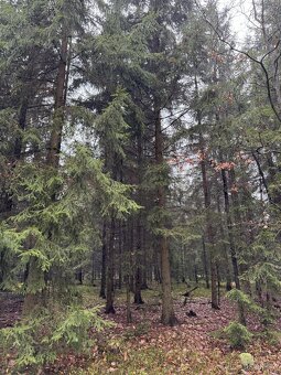 Prodám pozemky v k.ú. Veliny - 10