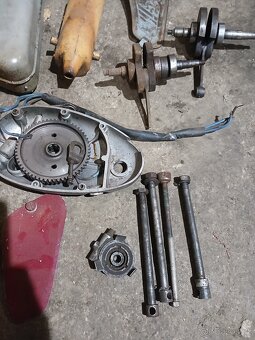 Dily Jaweta 551 - 10