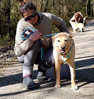 OMNIA K ADOPCI - 2 ROKY, HODNÁ,VDĚČNÁ,KLIDNÁ - 10