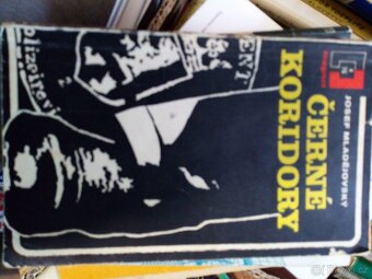 Starší knihy do roku 1990 - 10