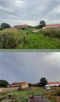 Mulčování - sečení - 10