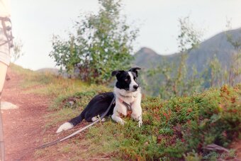 Zenit EM + Helios 58 mm f/2 + redukce na Canon EF - 10