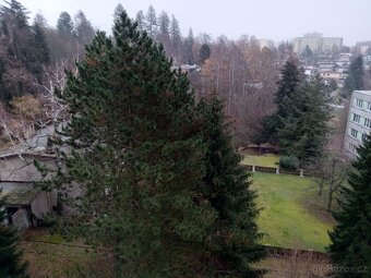 Prodej Byt OV 1+kk, lodžie. Starý Harcov Liberec - 10