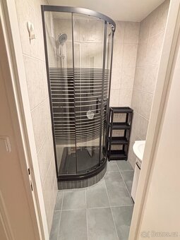 Pronájem bytu Tachov - 10