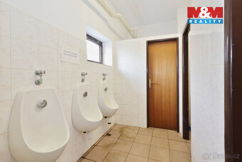 Prodej výrobního objektu v Malči - 10