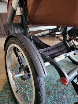 Bugaboo Runner + Cam1 - 10