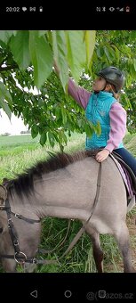 Pony valášek - 10