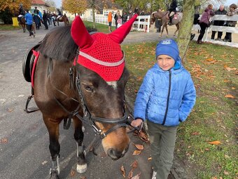 Sportovní pony - 10