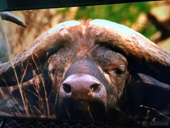 Velmi pěkná, téměř nová Tv Lg 43"QNED 80T6A, 4K UHD - 10