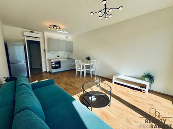 Pronájem bytu 1+kk 33 m² Tetauerova, Praha - Žižkov - 10